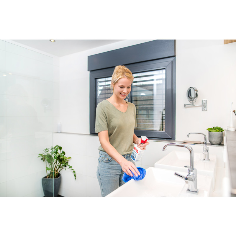 Bad & Sanitär Kraftreiniger 0,5 l