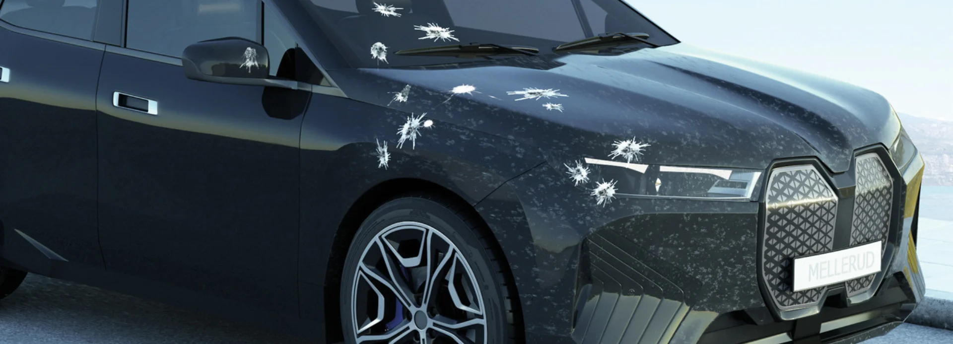 Insektenreste und Vogelkot