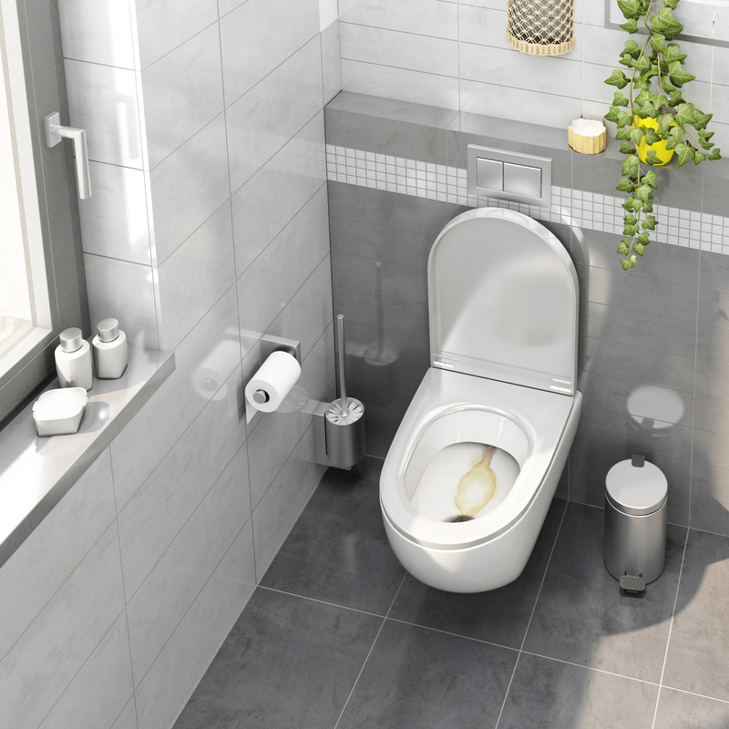 Incrostazioni marroni Rimovente 0,5 l