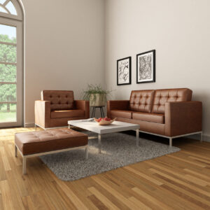 Leder Couch reinigen