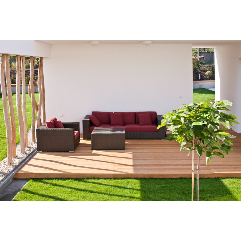 Legno & WPC Detergente 1,0 l