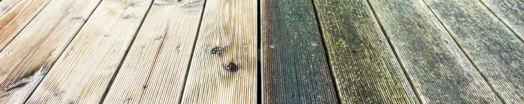 Header_GB-Entferner-1024x205-1