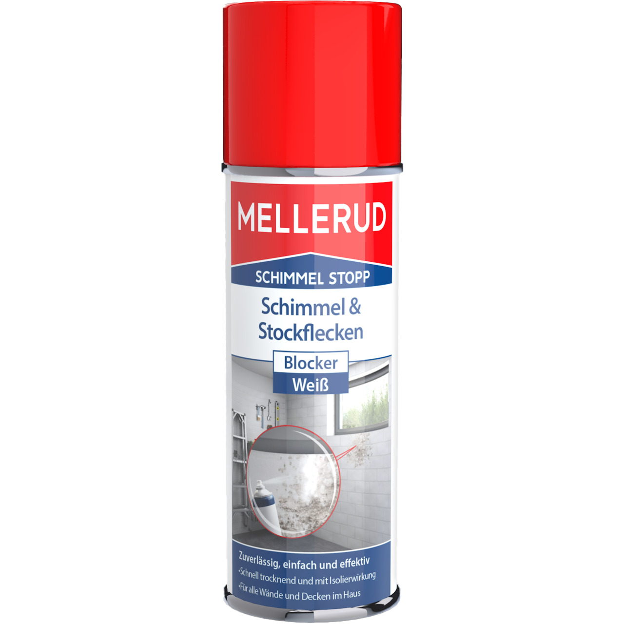 Schimmelset Wohnzimmer