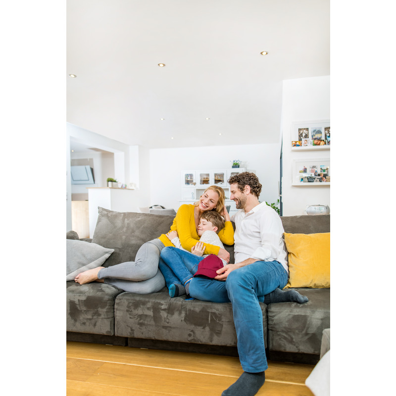 Flecken Entferner 0,5 l