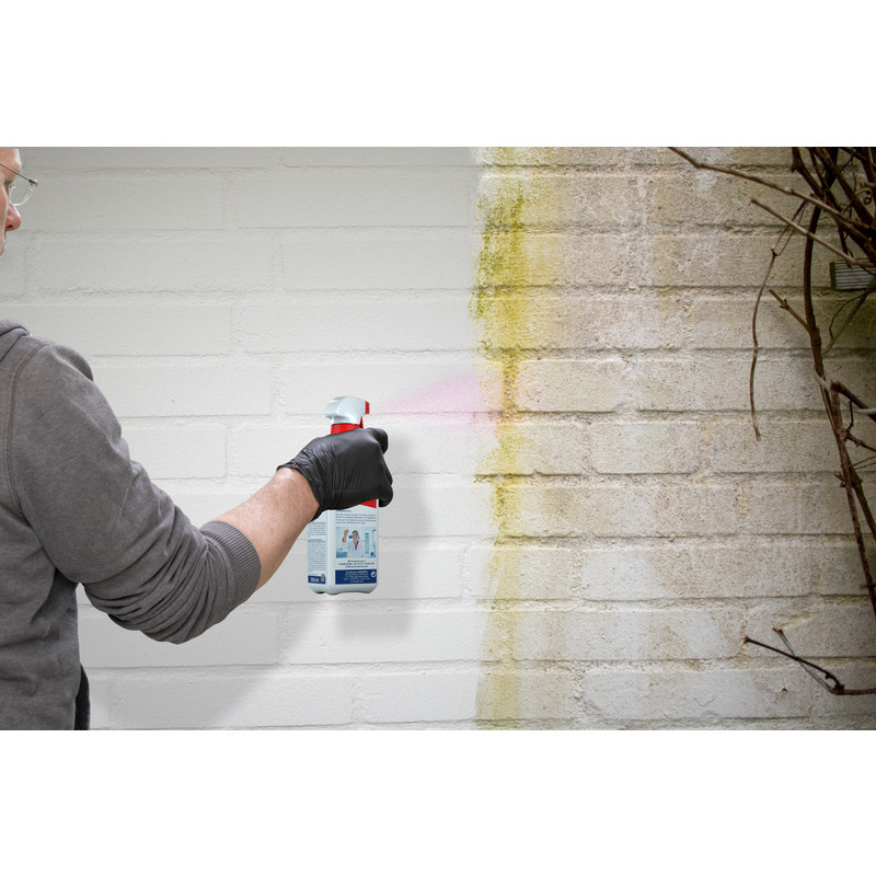 Algen & Grünbelag Vernichter 0,5 l