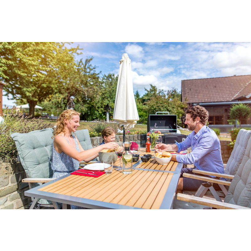 Grill & BBQ Detergente 0,46 l