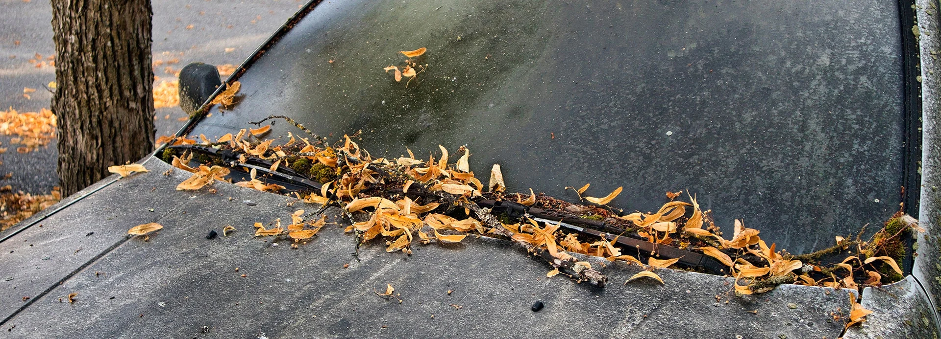 0523_ratgeberharz_header-01