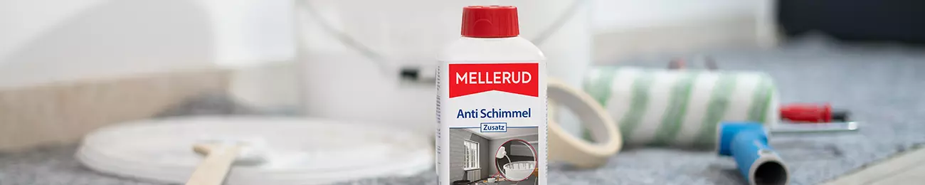 Beitragsbild_Schimmel-erkennen-bekaempfen-und-vorbeugen