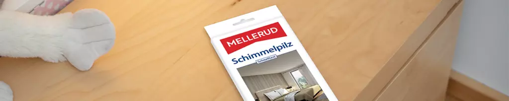 Beitragsbild_Schimmelspilz-Schnelltest-1024x205-1