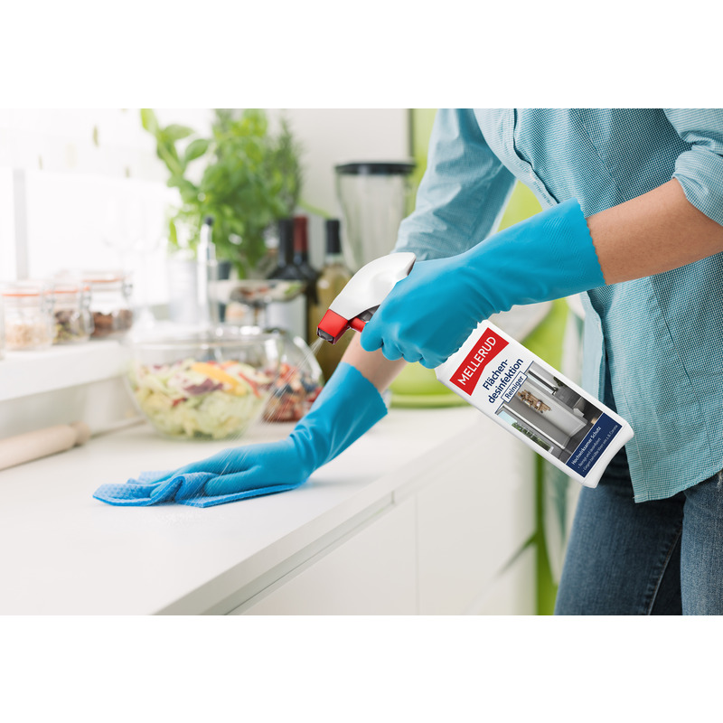 Flächendesinfektion Reiniger Spray 0,25 l