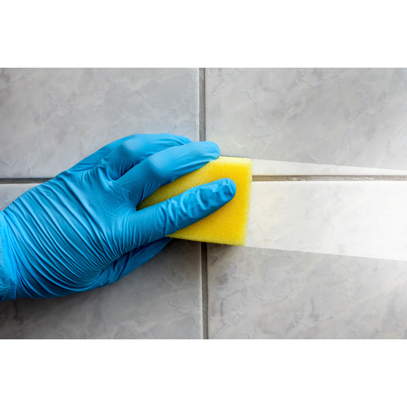 Spezial Reinigungsschwamm 1,0 St