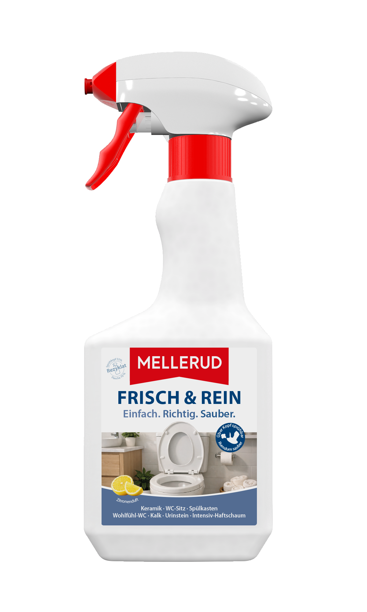Frisch & Rein