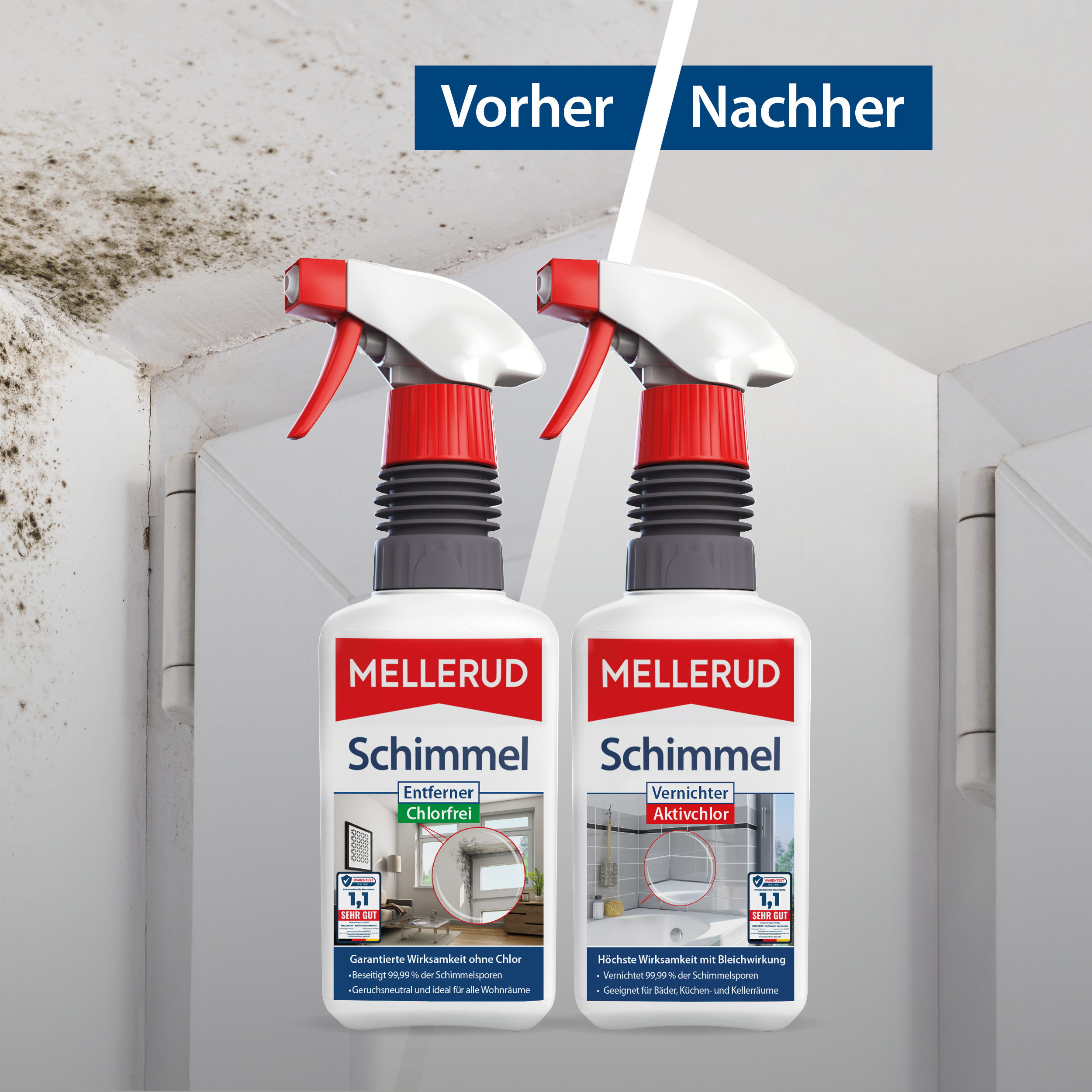 Schimmel Vorher/Nachher