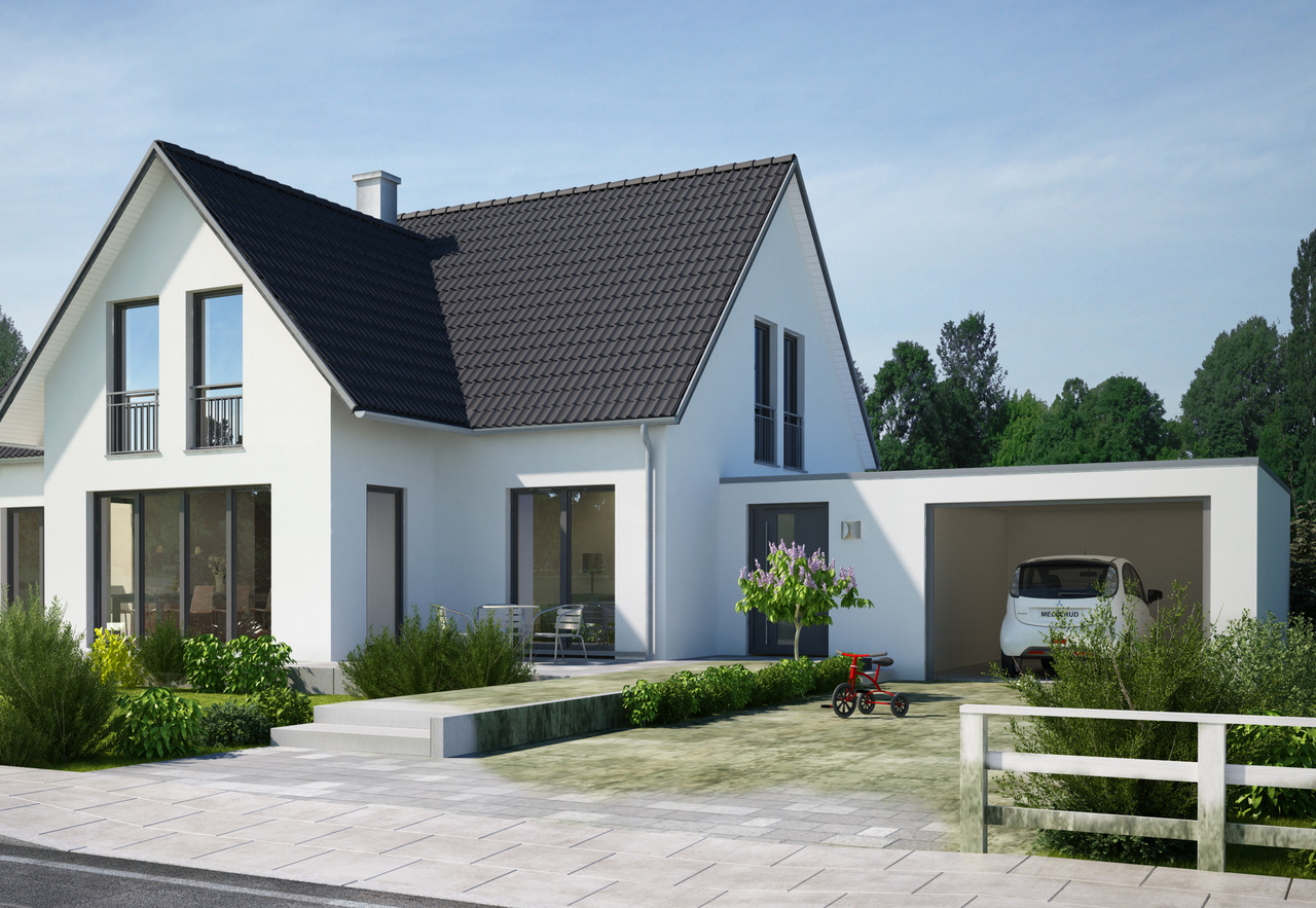 Gr&uuml;nbelag Entferner