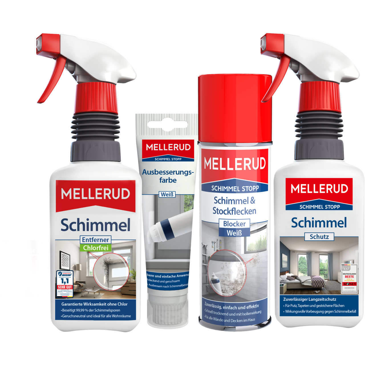 Schimmelset Wohnzimmer