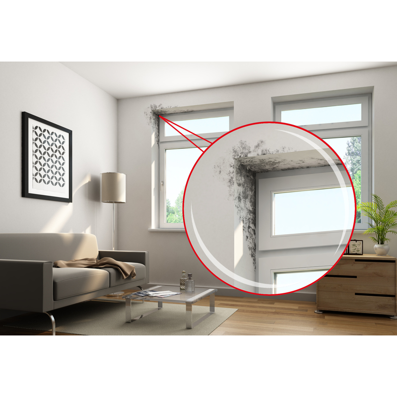 Schimmel Entferner Chlorfrei 0,25 l