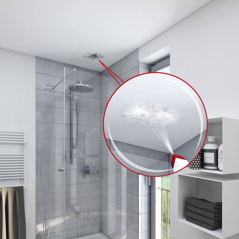 Elimina-muffa Gel Con cloro 0,25 l