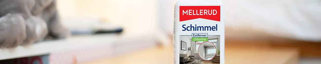 Beitragsbild_Schimmel-selber-entfernen-oder-Gutachter-beauftragen