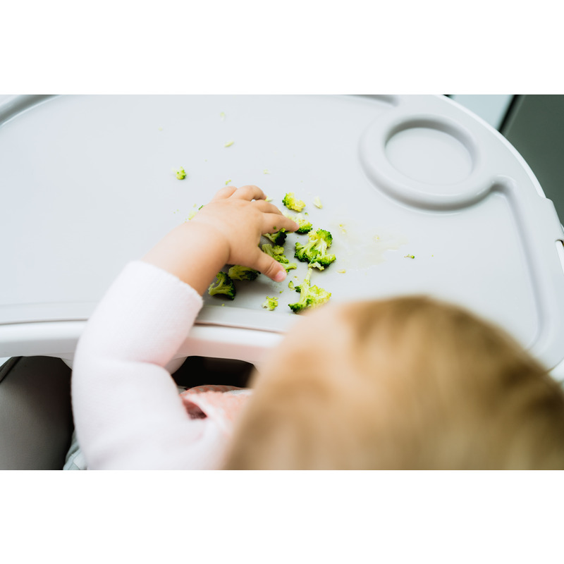 Oberflächen Grundreiniger 0,5 l