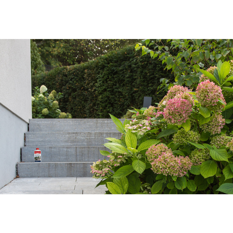 Stein & Platten Imprägnierung 1,0 l