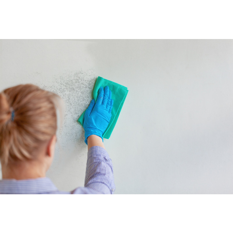 Schimmel & Stockflecken Blocker Weiß 0,2 l