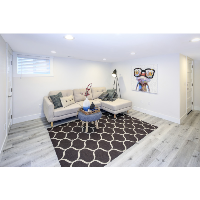 Schimmel Vernichter Plus Aktivchlor 0,5 l