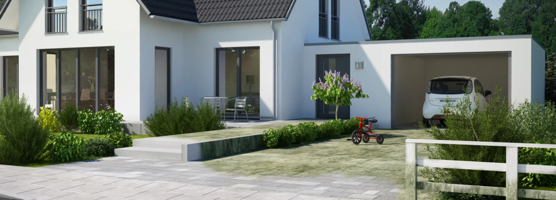 Algen und Grünbelag