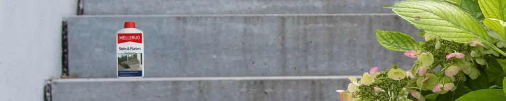 Beitragsbild_Flecken-auf-Stein-1024x205-1