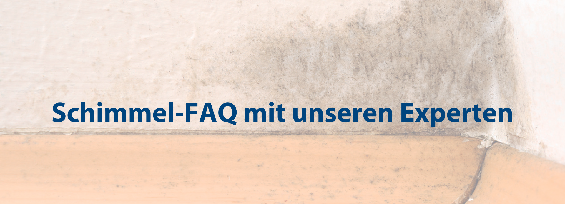 FAQ – Die meist gestellten Fragen zu unseren Schimmelprodukten
